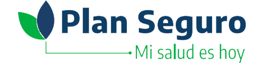 08 PLAN SEGURO